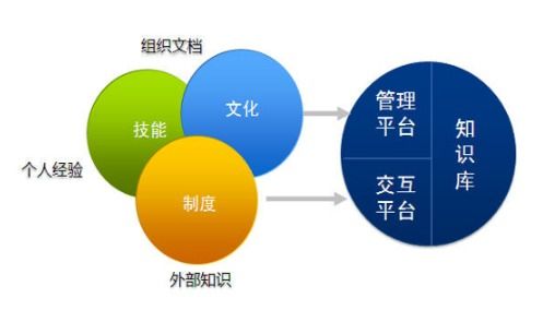 從碎片到體系 企業(yè)知識管理的系統(tǒng)化路徑與軟件開發(fā)實踐